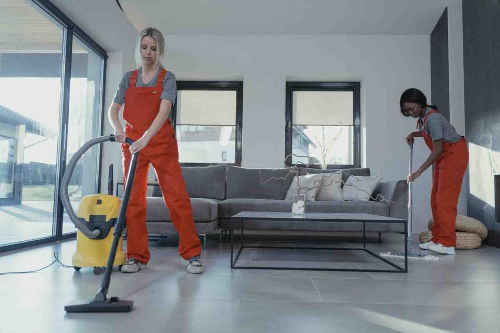 What Are the Essential Tools for Professional Carpet Cleaners

