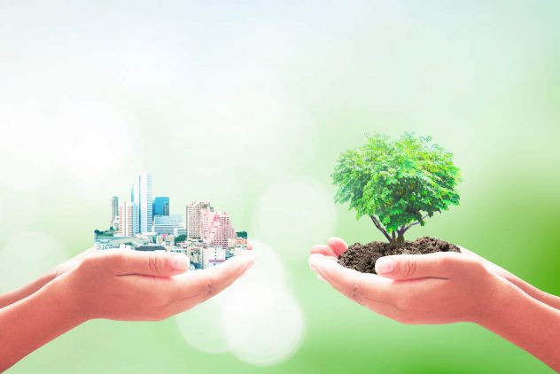 Eco-Entrepreneurship: Pioneering Business in the Age of Sustainability
