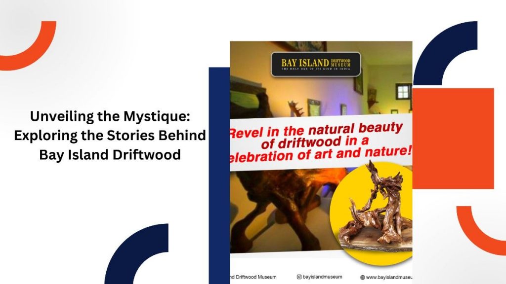Unveiling the Mystique: Exploring the Stories Behind Bay Island Driftwood
